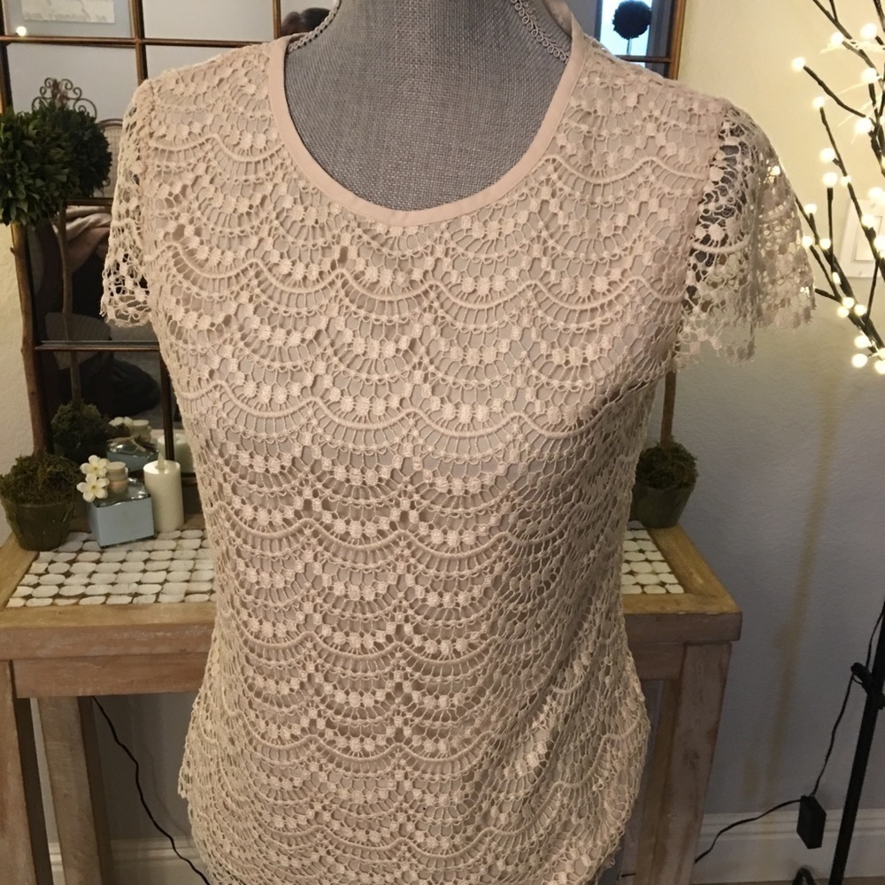 Ann Taylor top. (11/20)